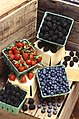 Several types of common "berries". None is a berry by botanical definition: The blueberry is a false berry, blackberries are aggregate fruit, and strawberries are accessory fruit.