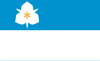 盐湖城旗幟