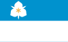 Bandeira de Salt Lake City