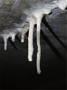 Structure minérale blanchâtre tombant d'une paroi de béton, formant une stalactite.