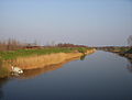 Il canale Danubio-Tibisco-Danubio presso il villaggio di Rumenka, vicino a Novi Sad