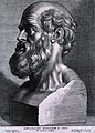 Image 29Hippocrates (c. 460–370 BCE). Known as the "father of medicine". (from History of medicine)