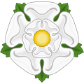 Rosa d'argento, bottonata d'oro (Rosa di York)