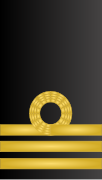 Insignia de Teniente coronel (Infantería de Marina)/Capitán de Fragata de la Armada