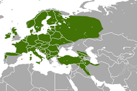 Distribución en Europa (verde – nativa, vermello – introducida)