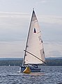 Nonsuch 26