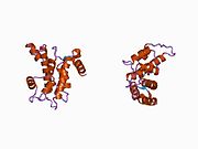 1aj5: CALPAIN DOMAIN VI APO