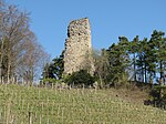 Grimmenstein, mittelalterliche Burgruine