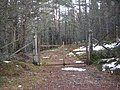 Image 42Forest in the Scottish Highlands (from Forest)