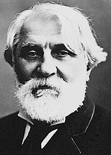 Ivan Sergejeviĉ Turgenev fotografita de Félix Nadar