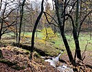 Mündung Töckelhauser Bach in den Eschbach (NSG)