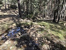 Nacimiento del río Gallo, en la Sierra del Tremedal. Orihuela del Tremedal. Teruel. España.