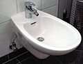 Bidet europarra