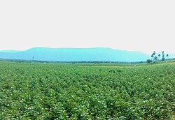 Fields near Mylavaram