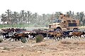 MRAP en déplacement en Irak