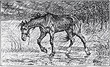 Dessin en noir et blanc d'un cheval émacié au pas, la tête basse.