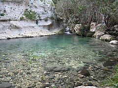 Il fiume Anapo nella Riserva naturale orientata Pantalica, Valle dell'Anapo e Torrente Cava Grande