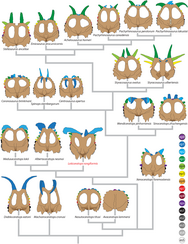 Color coded neck frills