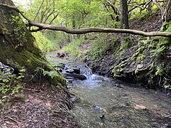 Die Junkersbeck an der Nordbahntrasse