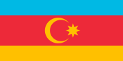 非公式の旗（1991年 - 1993年）