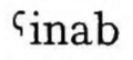 Transcription de l’arabe [ʕinab] avec un ʕ similaire à un point d’interrogation sans point réfléchi ou un ˁ dans Gairdner 1917.