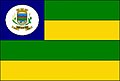 Bandeira de Carmo do Rio Verde
