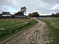 Bygningerne og parkeringspladsen tættest på Kalø slotsruin, på vejen væk fra ruinen.