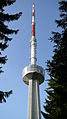 Torre de la Uetliberg TV