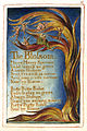 Songs of Innocence and of Experience, copy Z, 1826 (Library of Congress) object 11