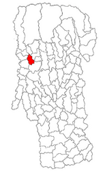 Location in Argeș County