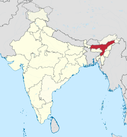Assamin sijainti Intian kartalla.