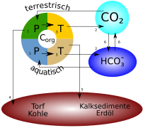 Datei:Biochem.svg