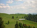 Vedere înspre sud din Pasul Stânișoara. În fundal se află Ceahlăul