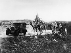 Under den Svenska Cypernexpeditionen 1927-1931 användes en Volvo ÖV4. Här syns den framför kameler.