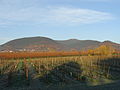 The Kalmit massif. From left to right: the Blättersberg, the Kalmit, the Kanzel and the Wetterkreuzberg