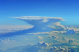 航空機から見たかなとこ雲