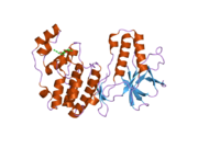 2fso: Mitogen activated protein kinase p38alpha (D176A) activating mutant