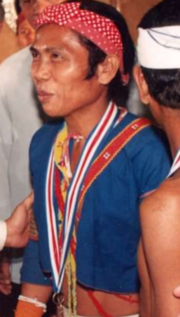 Bilog in 1993