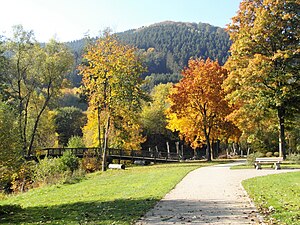 Kurpark im Herbst 2018 (Wanderweg)