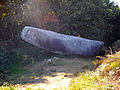 La barque de saint Conogan (menhir couché) à Beuzec-Cap-Sizun.