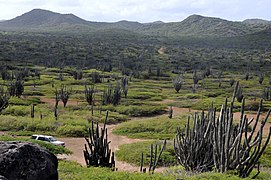 Washington Slagbaai National Park auf Bonaire