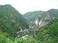 Das Flussbett des Argeș, von der Burg Poenari gesehen