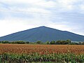 Vista del Cerro Culiacán desde Providencia.