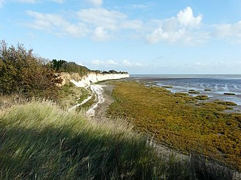 Pegwell Bay