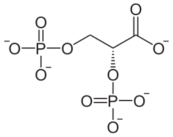 Struktur von 2,3-Bisphosphoglycerat