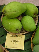 Saigon mangoes on display at the 15th Annual International Mango Festival at the Fairchild Tropical Botanic Garden, Florida