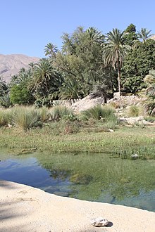 Oman 2014 (16222028112).jpg