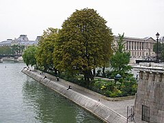 Square du Vert-Galant