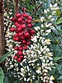 Flowers and fruit