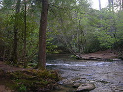 Abrams Creek